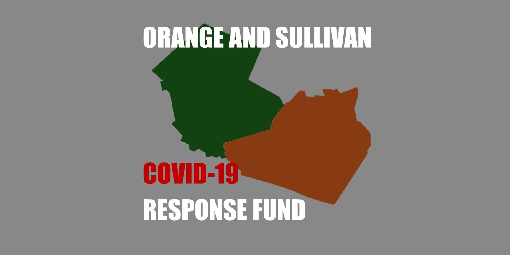 Community Foundation of Orange and Sullivan COVID-19 Response Fund