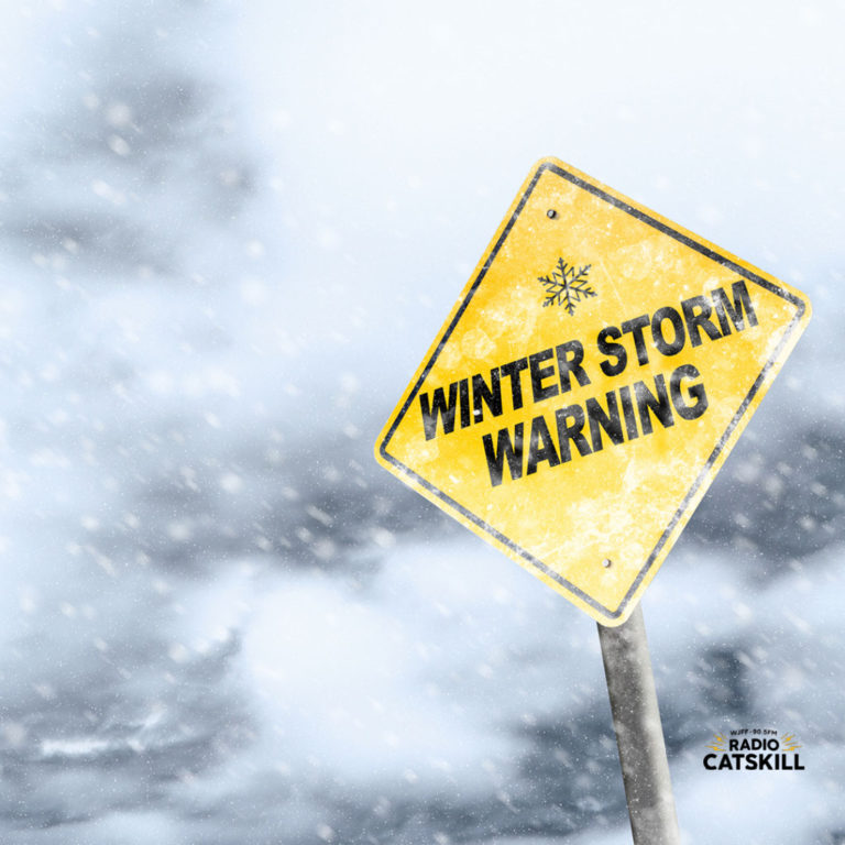 Winter Storm Warning in effect for Sullivan Catskills and NEPA