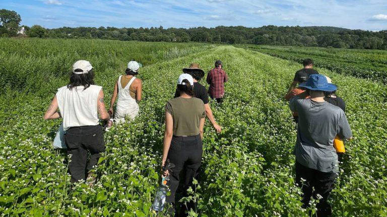 Asian-Led Farm Cooperative Building Food Sovereignty for the Northeast