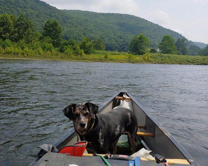 Washing Away Regrets By Paddling Two Hundred Miles on the Delaware River
