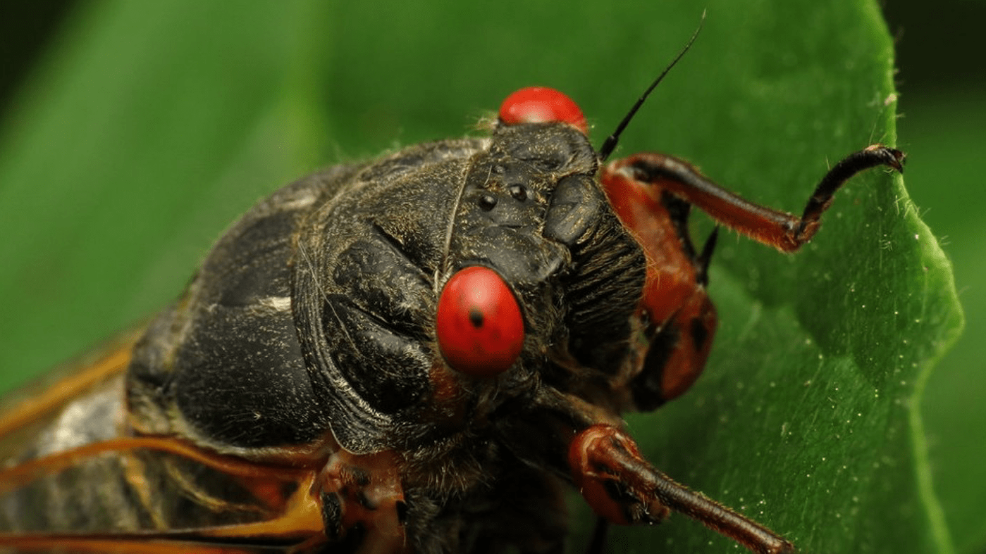 Science Stories with Joe Johnson – WJFF 90.5FM Radio Catskill