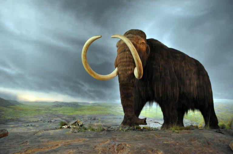 Joe Johnson Talks Science: Mammoths, Cave Paintings, and “Hot Jupiter”