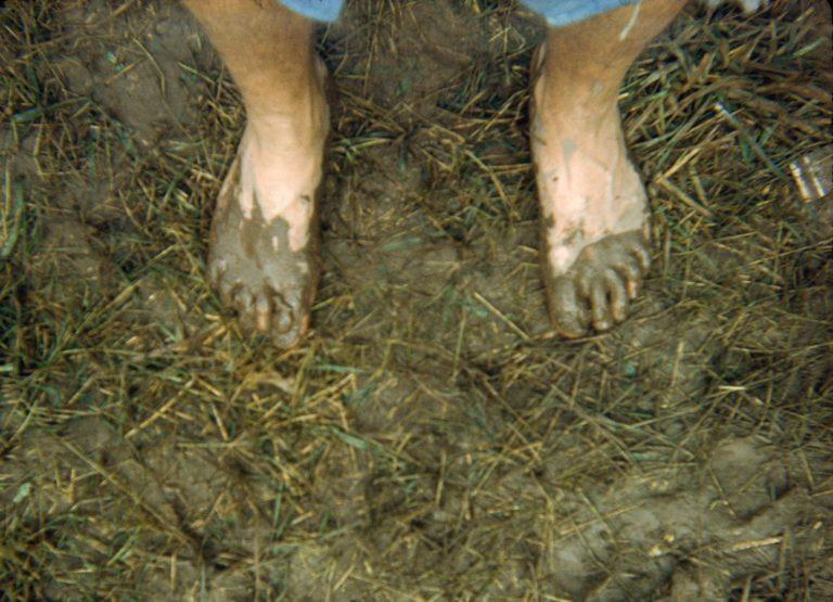 Woodstock: Three Days of Peace, Love, Music and Mud