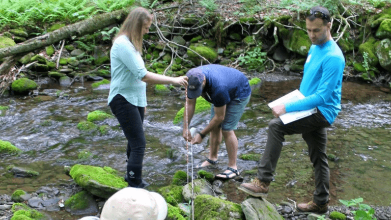 How to Read a River