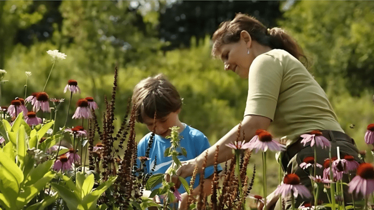 Celebrate the Autumn Equinox at the First Annual Plants Speak Gathering