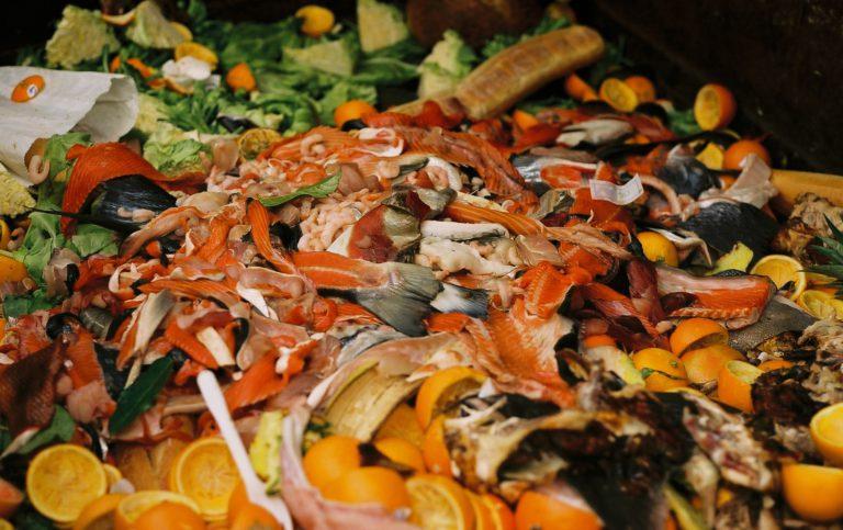 How to Compost and Reduce Food Waste for Thanksgiving