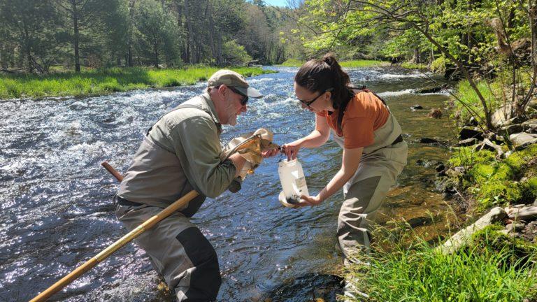 Pike County Studying Microplastics in Local Waters