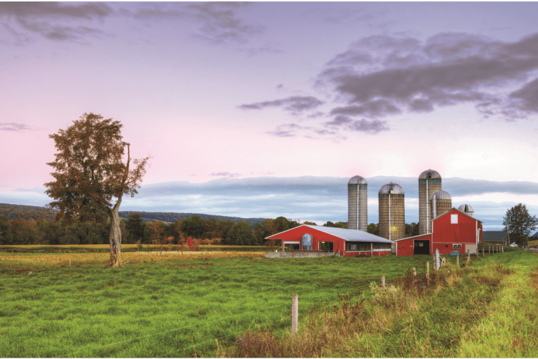 New York Dairy Farms Prepare for Increased Immigration Enforcement