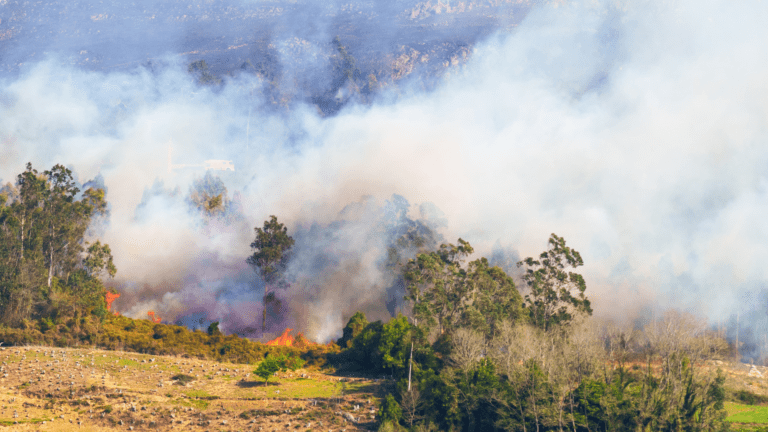 Burn Ban Begins March 16: Are We Ready for Wildfire Season?