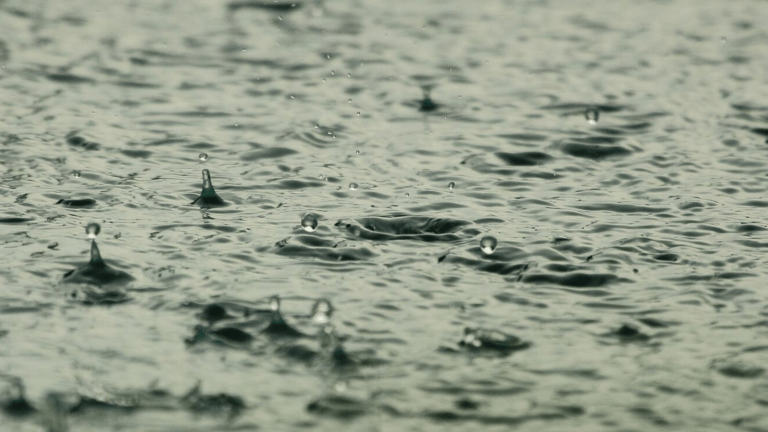 ‘Water, Water Everywhere’: How Extreme Weather is Changing New York’s Farming Industry