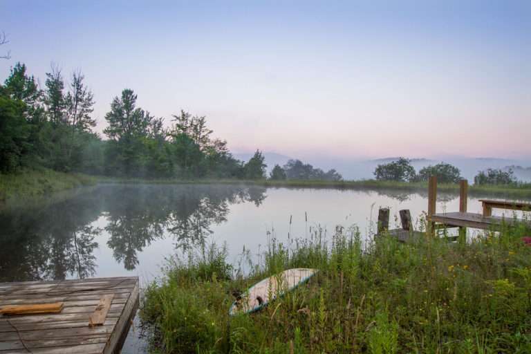 New York Faces More Flash Floods. Aquatic Ecosystems Are at Risk.