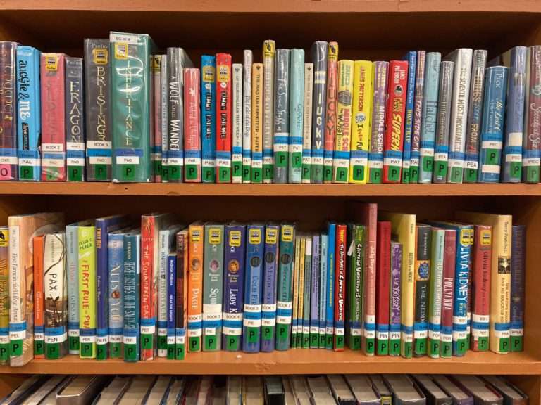 New York Libraries Highlight What’s at Stake in the Face of Federal Cuts