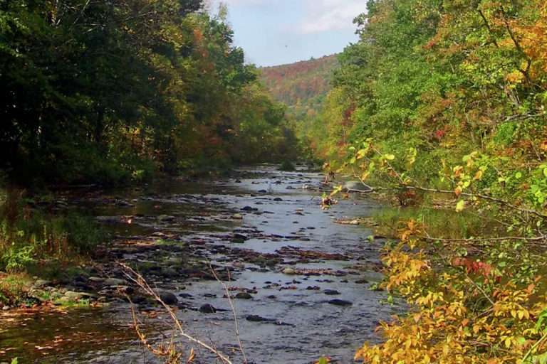 14-Year-Old Drowns at Popular Swimming Hole in Wawarsing