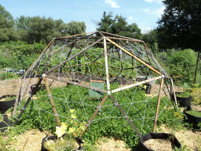New Paltz Community Garden Faces Climate Challenges on Historic Plot