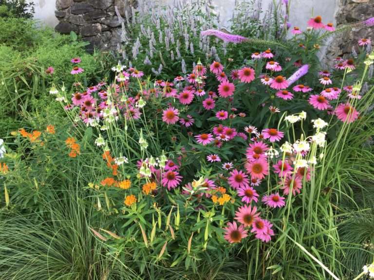 Bee On It: Delaware Highlands Conservancy Event Highlights Pollinator Decline and Conservation