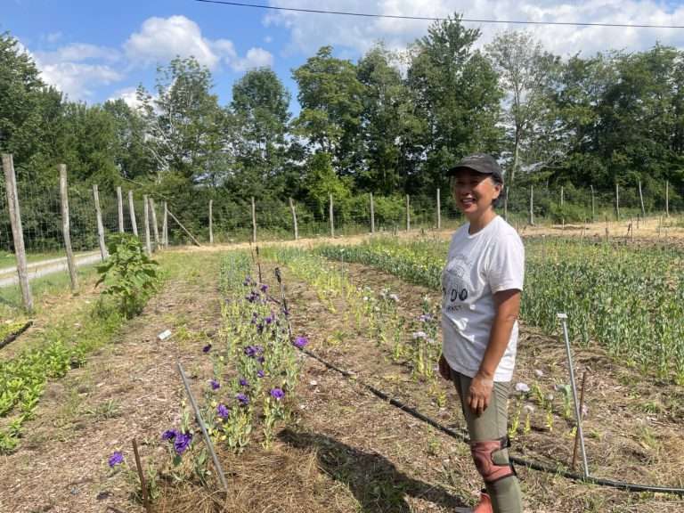 Meet Momoglobal Farms, Jeffersonville’s Ikebana Flower Farm