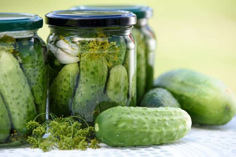 A close up of a glass jar full of pickles. A few cucumbers lay outside the jar waiting to be brined.