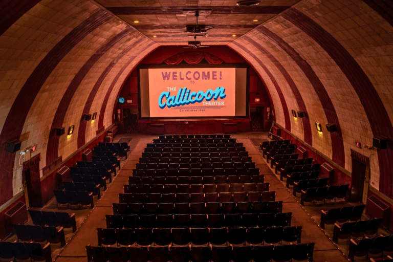 Callicoon ArtWalk Showcases Short Films and Local Talent