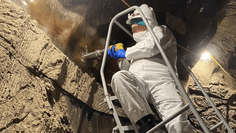 Ancient Microbes, Dark Matter Stars, and Comets: Science Stories with Joe Johnson