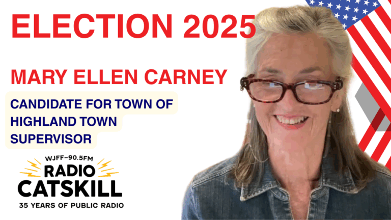 Highland Town Supervisor Candidate Mary Ellen Carney Talks Transparency
