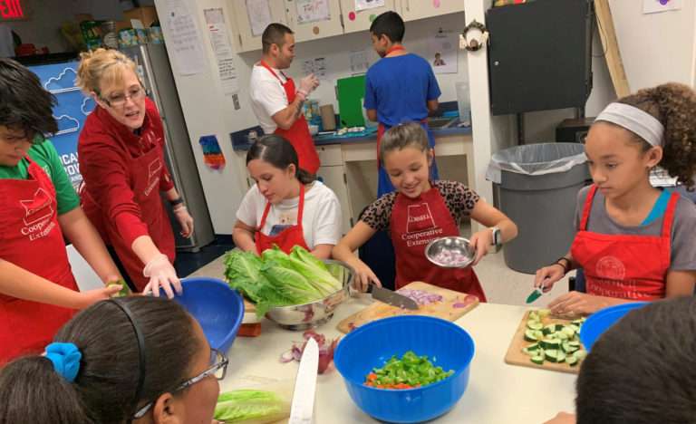 Farm to School: Sullivan County Coalition Brings Local Food, Fresh Lessons to Cafeterias