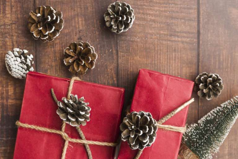 Jingle All the Way to Less Waste: Ulster County Hosts Plastic-Free Holiday Workshops