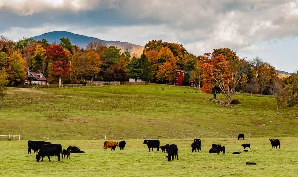 NY Attorney General Awards $1.3 Million to Delaware and Sullivan Farms from Pollution Lawsuit